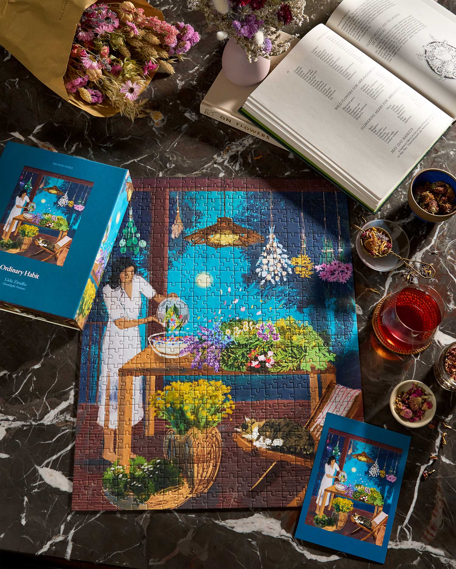 Moonlight Potions Puzzle by Lida Ziruffo